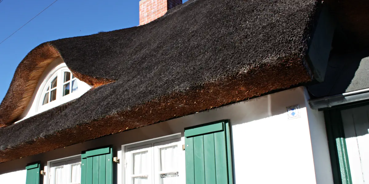 Foto Reetdach: schönes Haus in MV