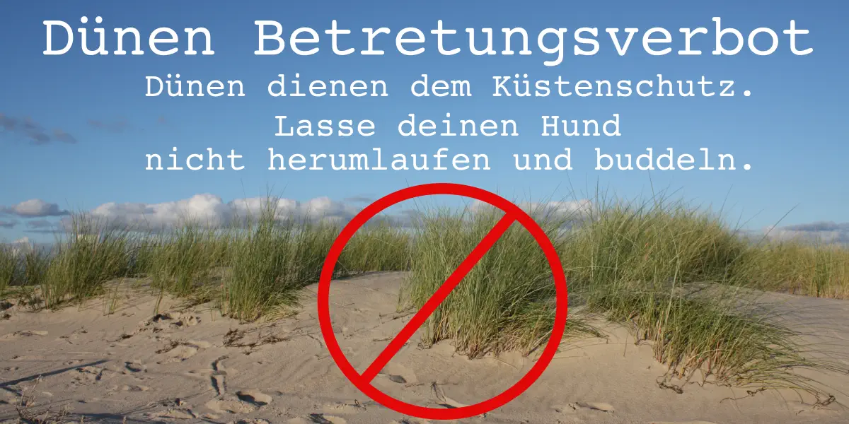Dünenbetretungsverbot für Hunde und Menschen