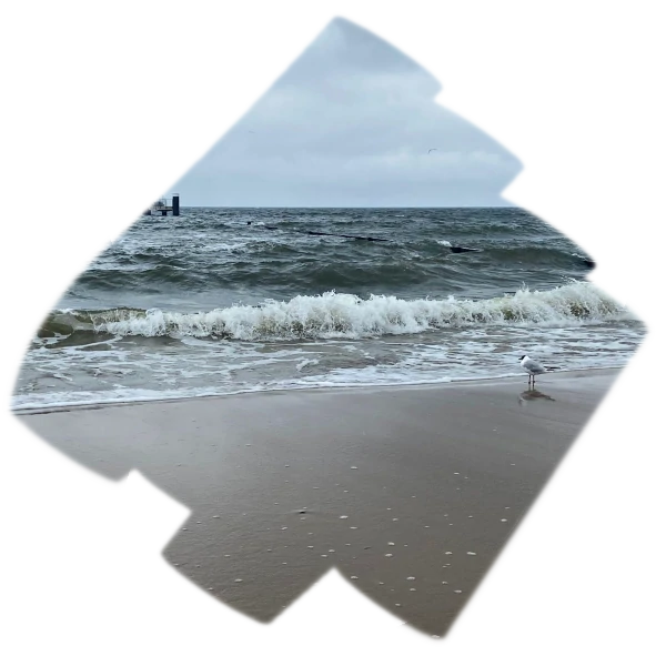 So schön ist der Herbsturlaub an der Ostsee