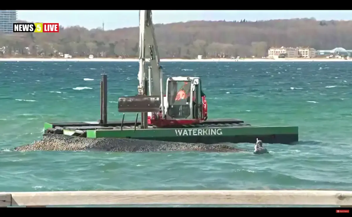 Gestrandeter Wal am Timmendorfer Strand – Robert Marc Lehmann gibt Bagger Anleitung, um das Tier freizusetzen